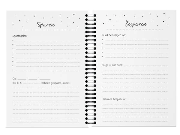 Budgetplanner Mockup Spread 3