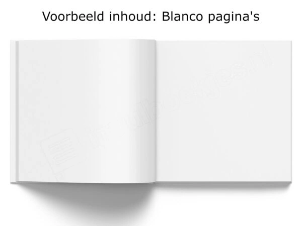 Fylbooks Binnenwerk Met Blanco Pagina 1 Scaled