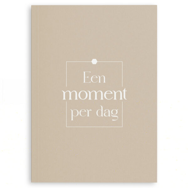 Fyllbooks Een Moment Per Dag Dagboek Taupe (1)