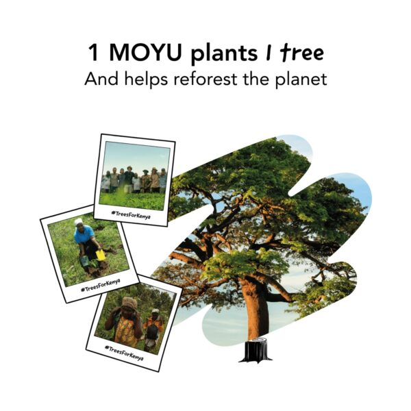 Notebook Usp 1 Moyu Plants 1 Tree